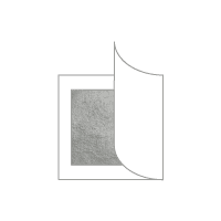 Platinum leaf books